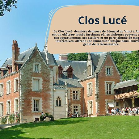 Gite Rabelais - A 5Min Du Chateau D'Amboise Eksteriør billede